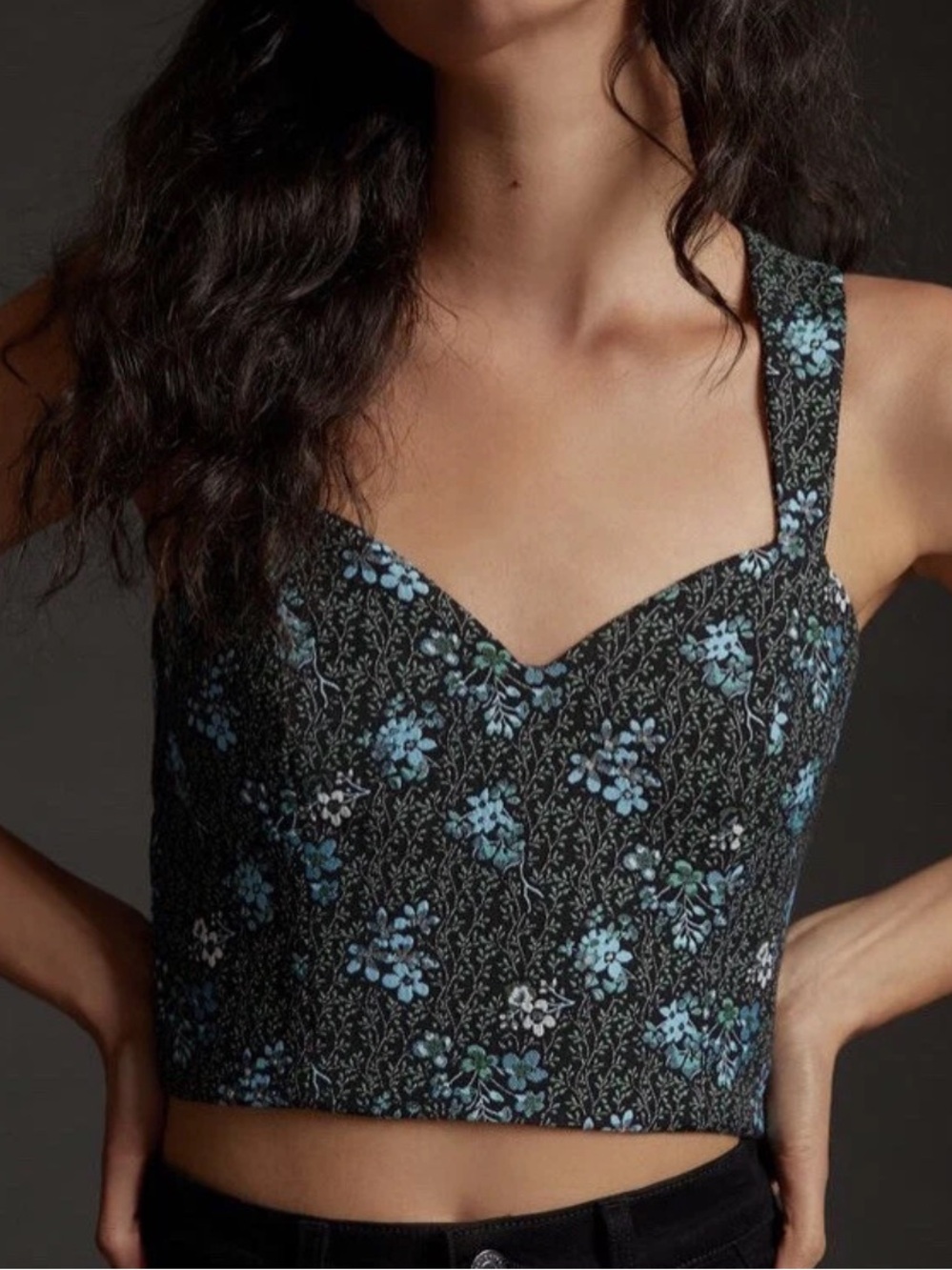 Sachin & Babi Anthropologie XL jacquard corset floral top cutout nwt